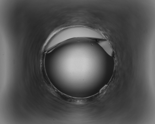 X0000083600056200703021924