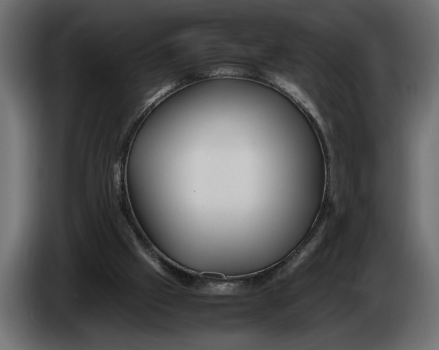 X0000083600057200703021924