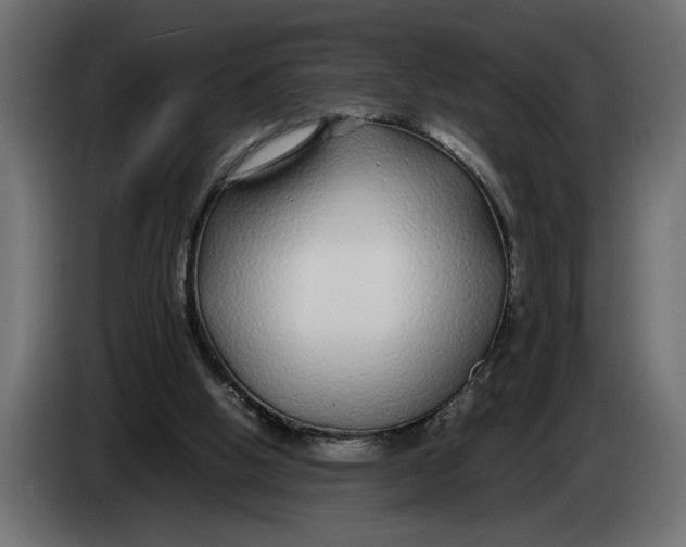 X0000083600058200703021924