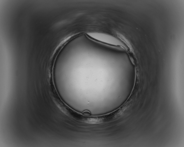 X0000083600059200703021924