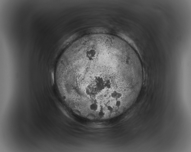 X0000083600061200703021924