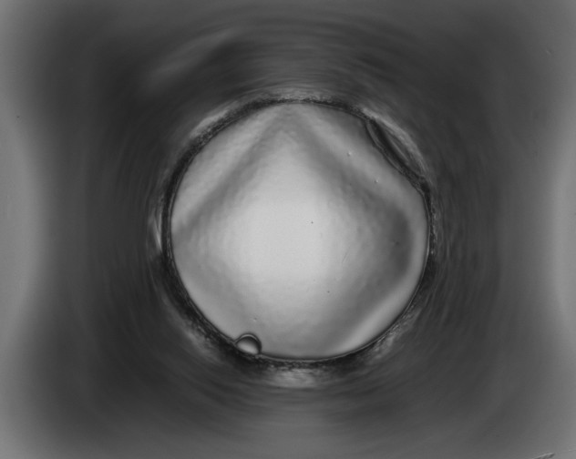 X0000083600062200703021925