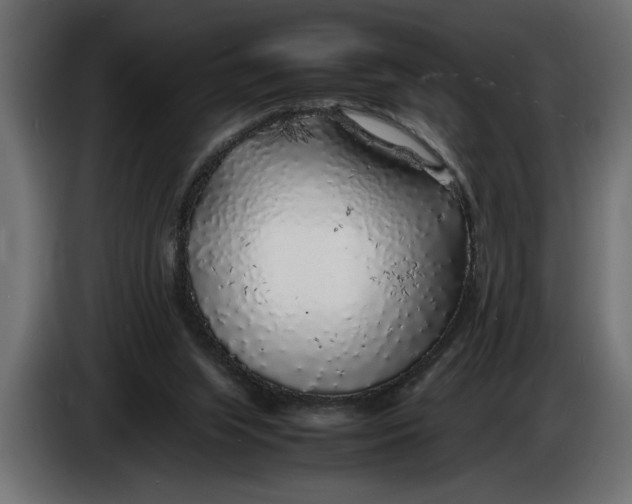 X0000083600063200703021925