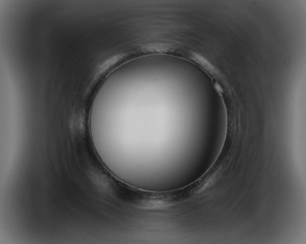 X0000083600064200703021925