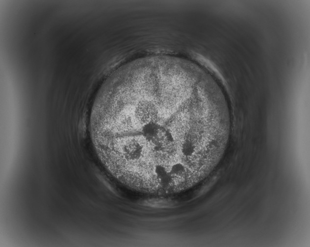 X0000083600065200703021925