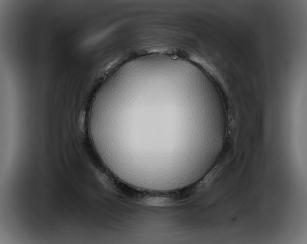 X0000083600066200703021925