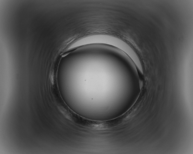 X0000083600068200703021925