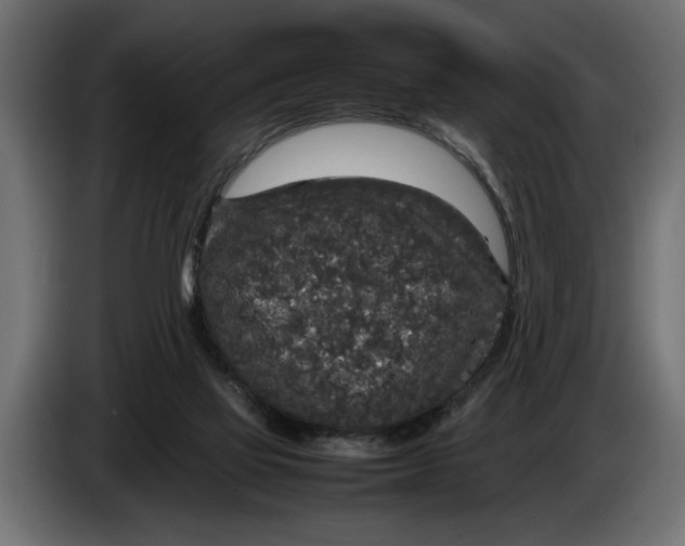 X0000083600069200703021925