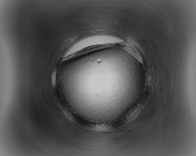 X0000083600070200703021925