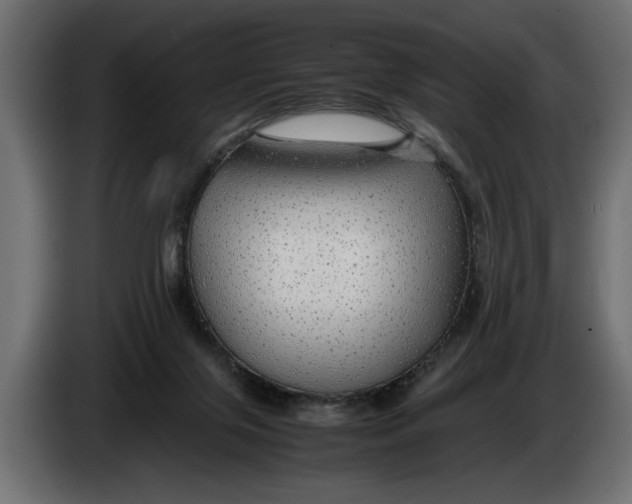 X0000083600071200703021925