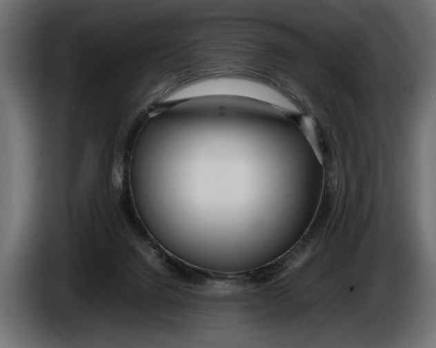 X0000083600072200703021925