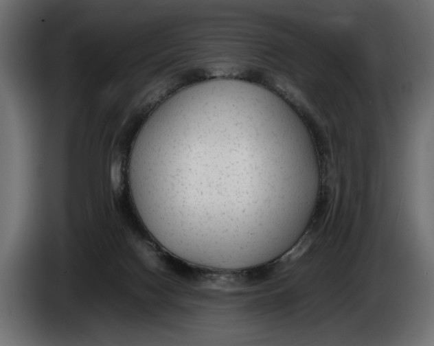 X0000083600074200703021925