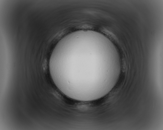 X0000083600077200703021925