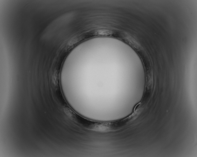 X0000083600078200703021925