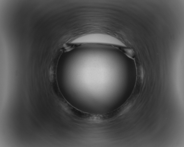 X0000083600080200703021925