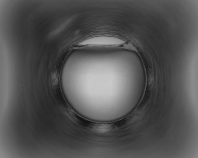 X0000083600081200703021925