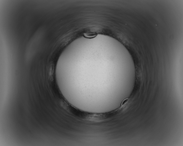 X0000083600082200703021925