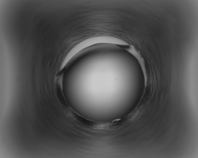 X0000083600084200703021925