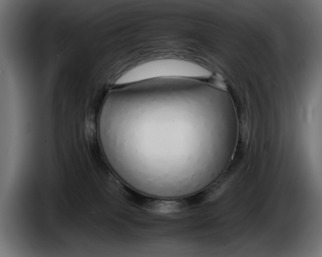 X0000083600085200703021925