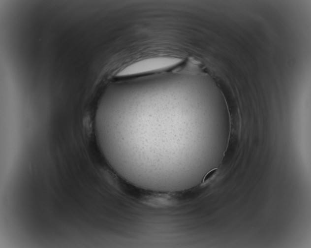 X0000083600086200703021925