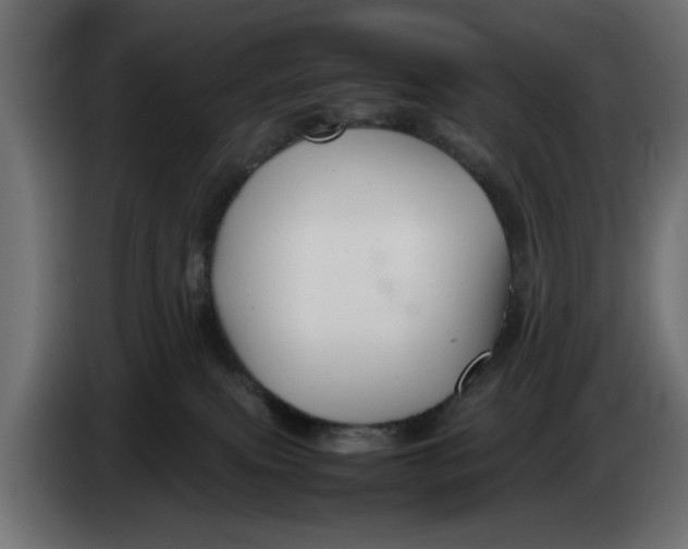 X0000083600087200703021925