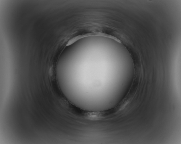 X0000083600088200703021925