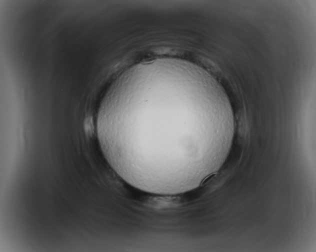 X0000083600089200703021925