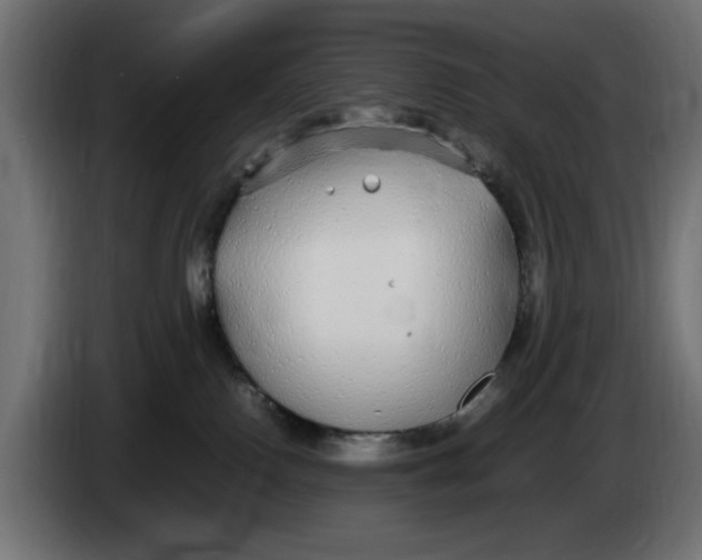 X0000083600090200703021925