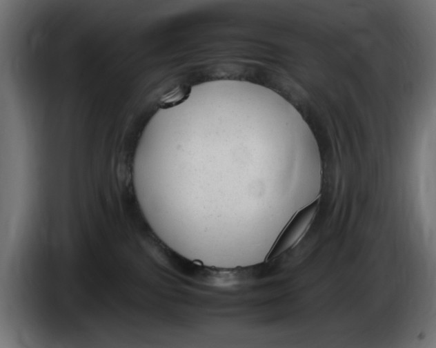 X0000083600091200703021925