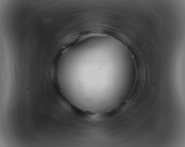 X0000083600092200703021925