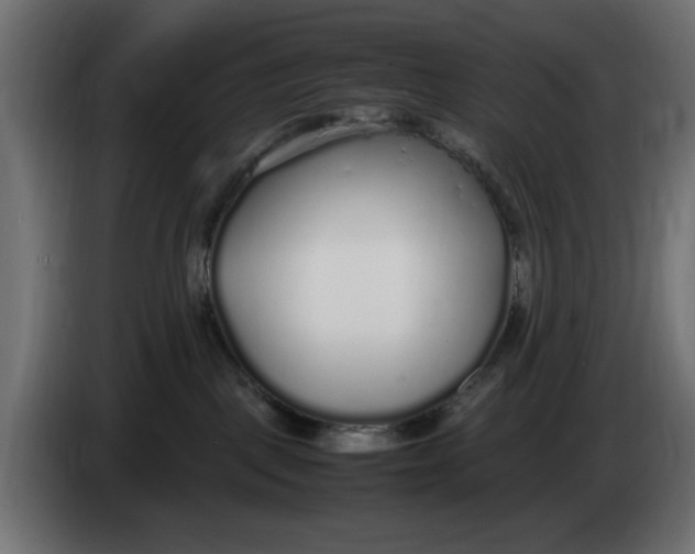 X0000083600093200703021925