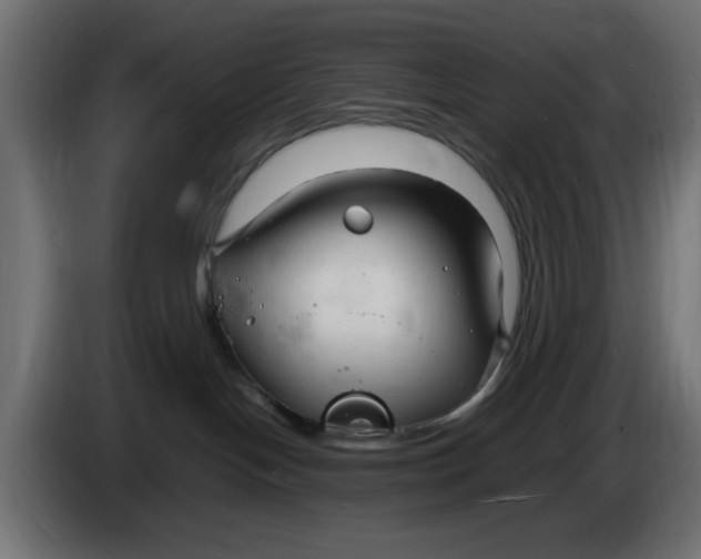 X0000083600094200703021925