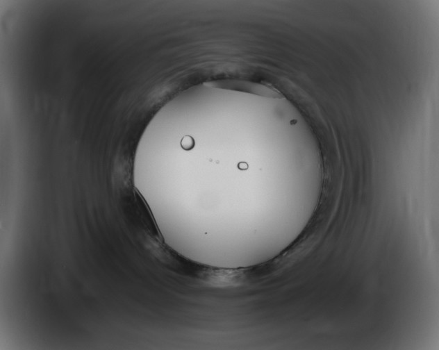 X0000083600096200703021925