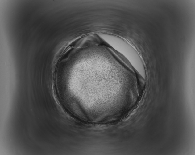 X0000083600097200703021924