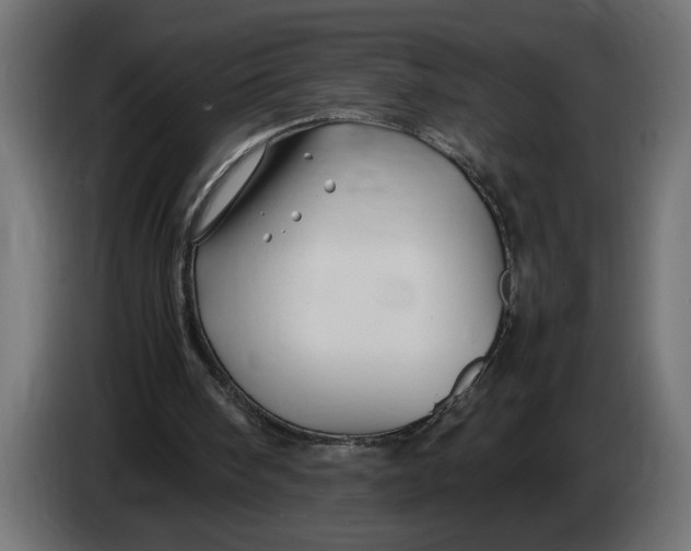 X0000083600098200703021924