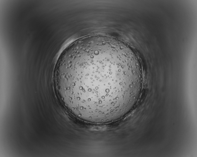 X0000083600099200703021924