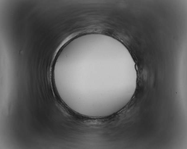 X0000083600100200703021924