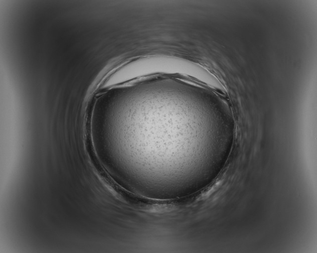 X0000083600101200703021924