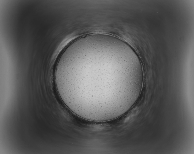 X0000083600103200703021924