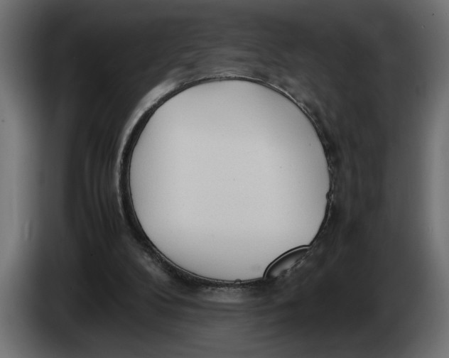 X0000083600104200703021924