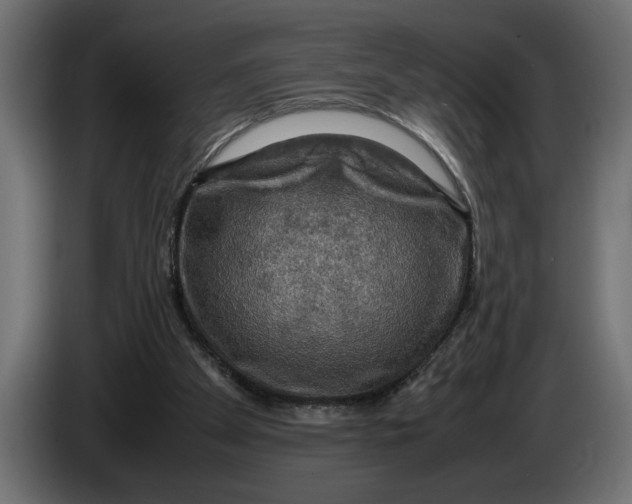 X0000083600105200703021924