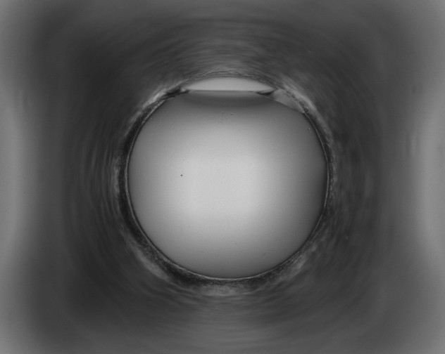 X0000083600106200703021924