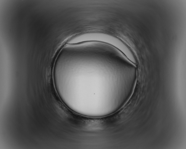 X0000083600107200703021924