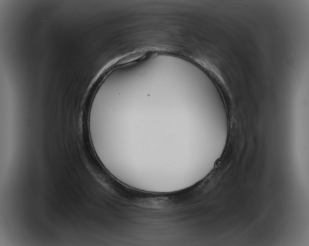 X0000083600108200703021924