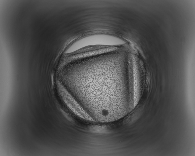 X0000083600110200703021924