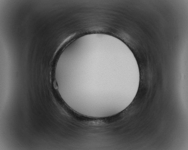 X0000083600112200703021924