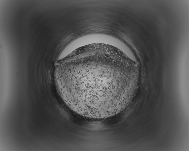 X0000083600114200703021924