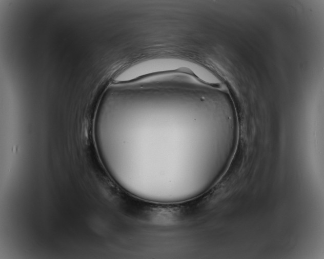 X0000083600115200703021924