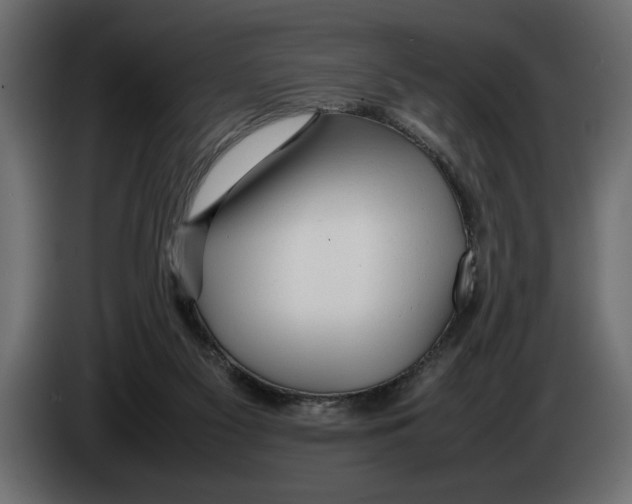 X0000083600117200703021924