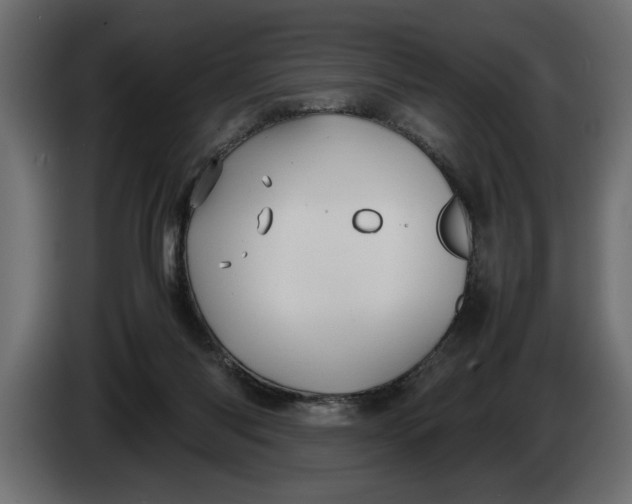 X0000083600118200703021924